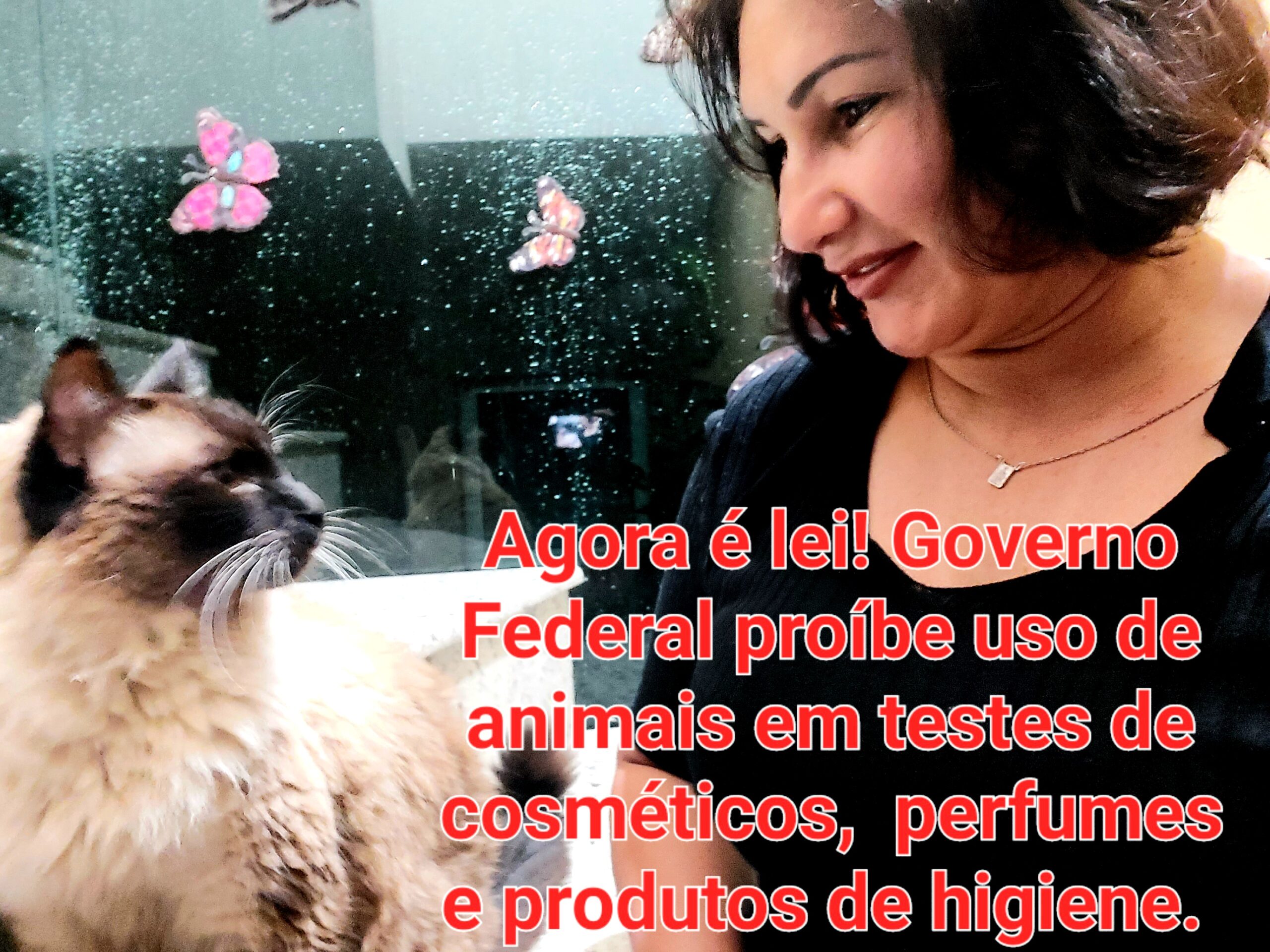 17 de Fevereiro – Dia Mundial dos Gatos: Brasil tem 30,8 milhões dessas fofuras